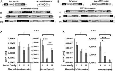 CRISPR-mediated optogene expression from a cell-specific endogenous promoter in retinal ON-bipolar cells to restore vision